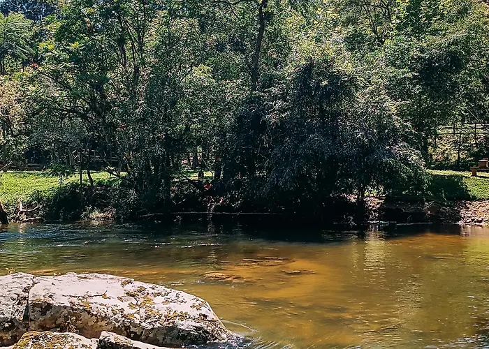 Suite Com Cachoeira No Quintal
