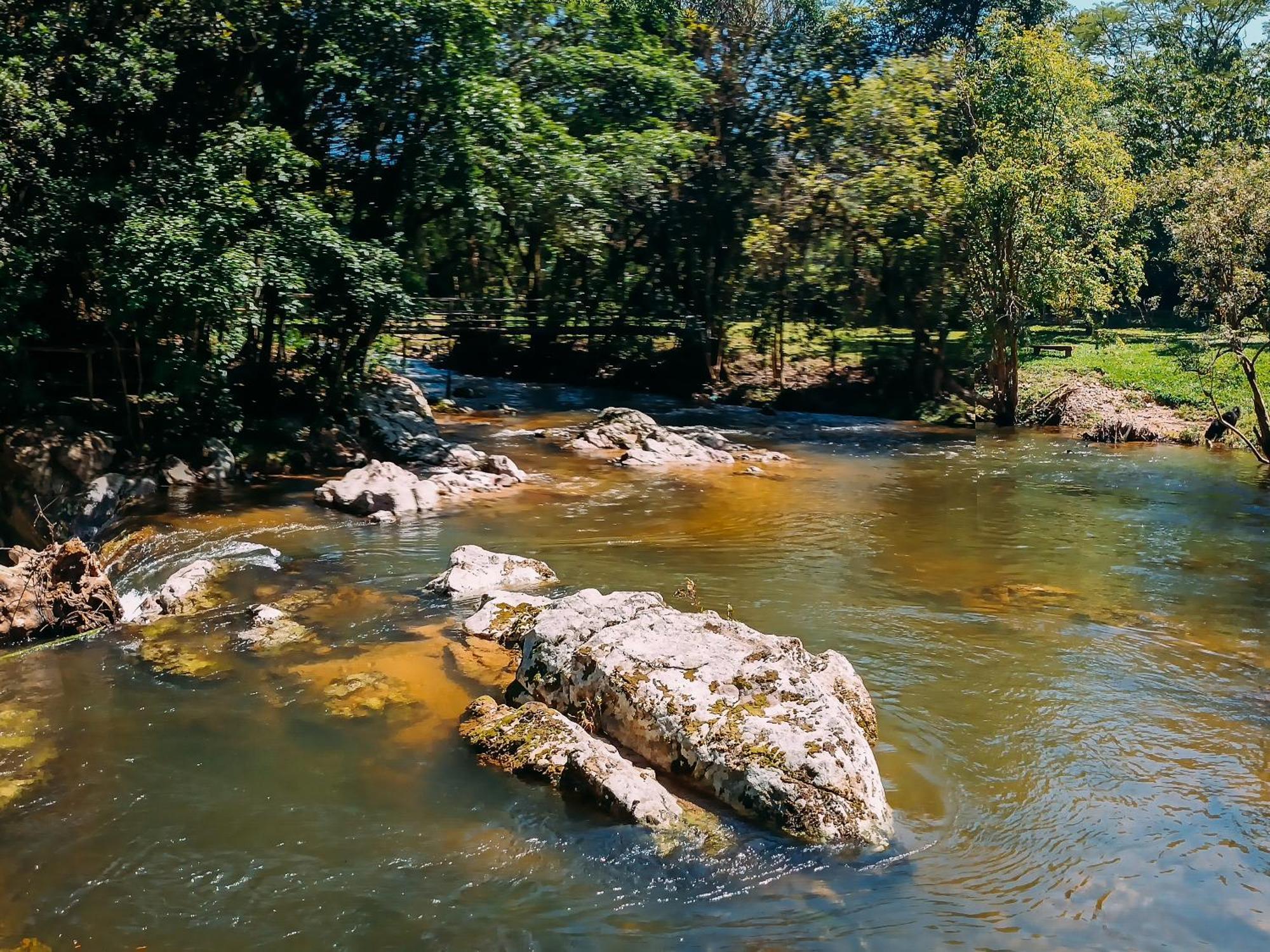 Lodge Com Cachoeira No Quintal Antonio Carlos