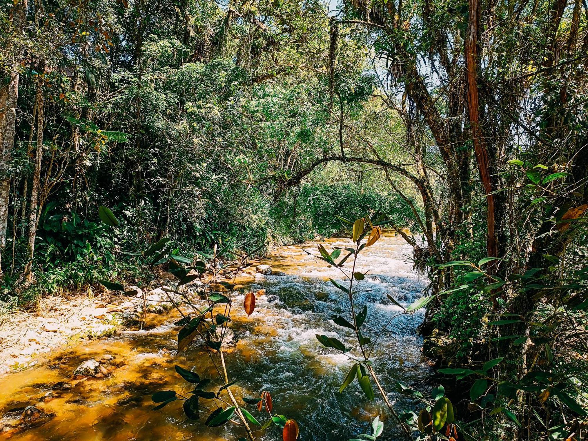 Com Cachoeira No Quintal Lodge