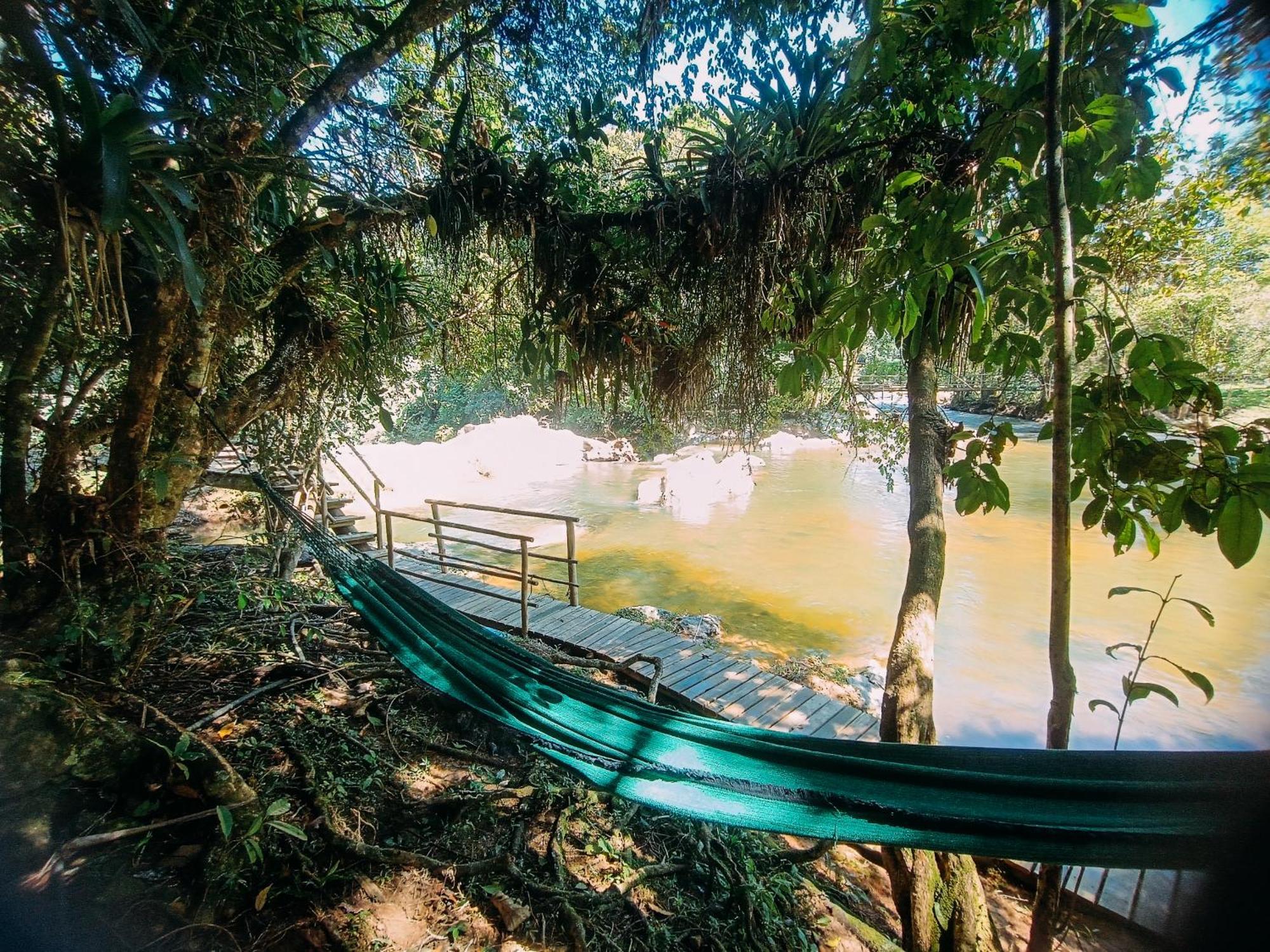 Com Cachoeira No Quintal *